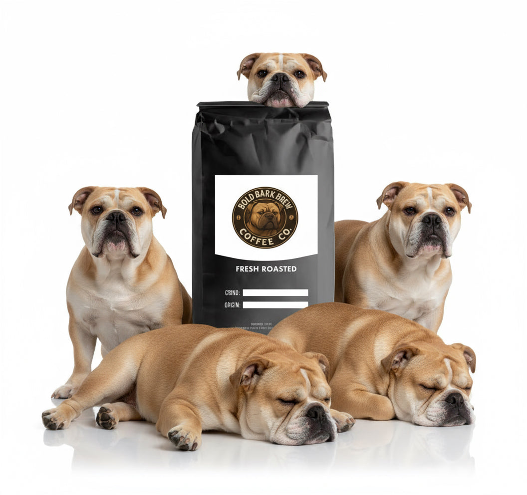 Best Sellers Sample Pack: 6Bean, Cowboy, Breakfast, Peru, Mexico, Bali - Bully Brew Coffee Co.