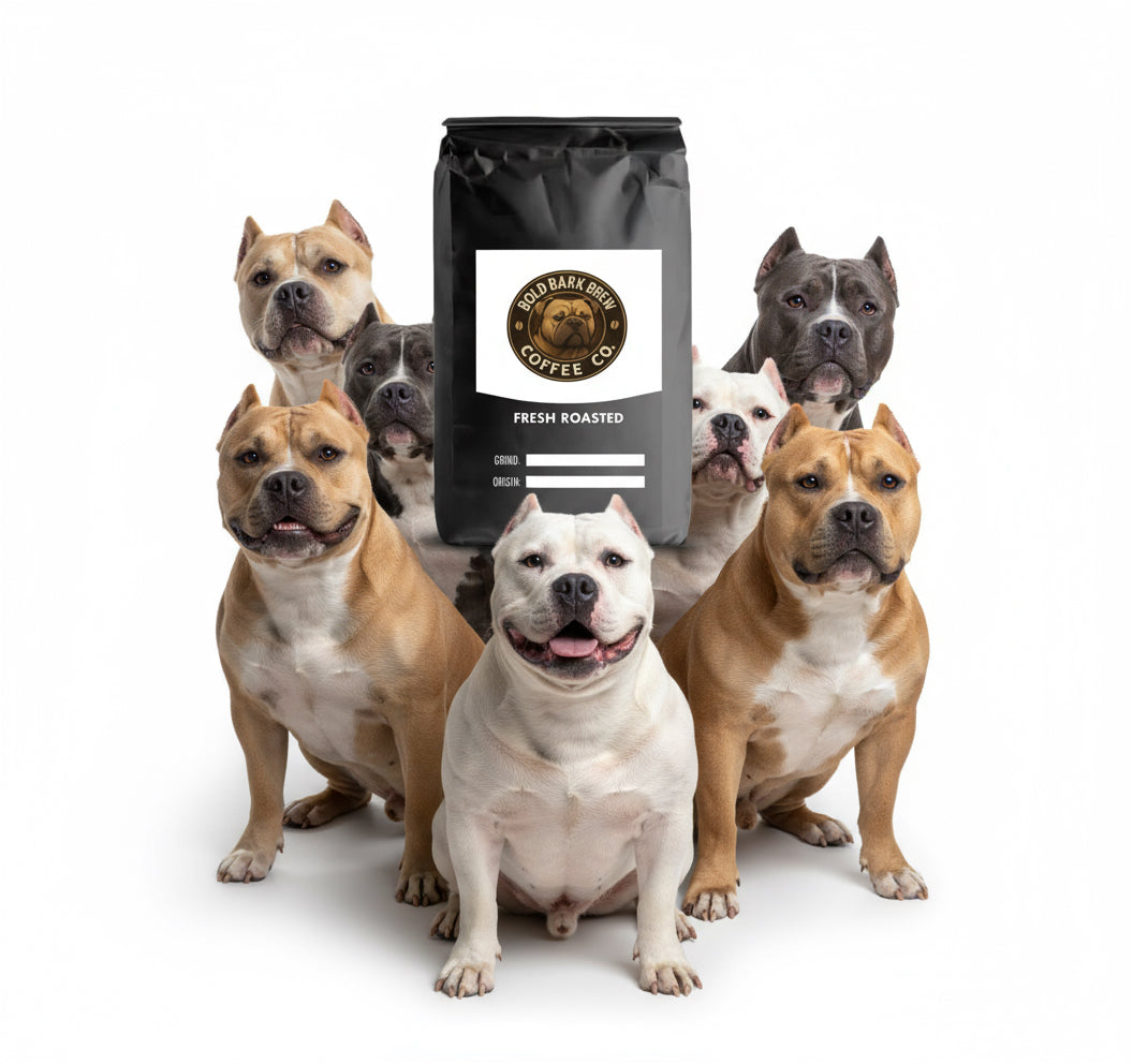 Single Origin Favorites Sample Pack - Bully Brew Coffee Co.